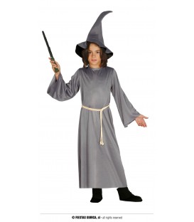 Disfraz WIZARD