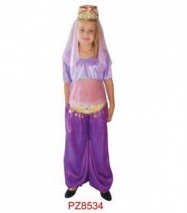 DISFRACES CHICA DEL HAREN NIÑO PZ8534