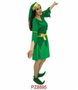 DISFRAZ DUENDE VERDE PZ8895