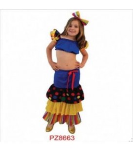 DISFRACES RUMBERO AZUL NIÑOS PZ8663