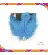 Pinza Pluma Celeste