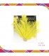 Pinza Pluma Amarillo