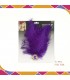 Pinza Pluma Morado
