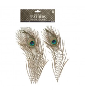 Pluma De Pavo Real