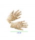 GUANTES CKZ-5